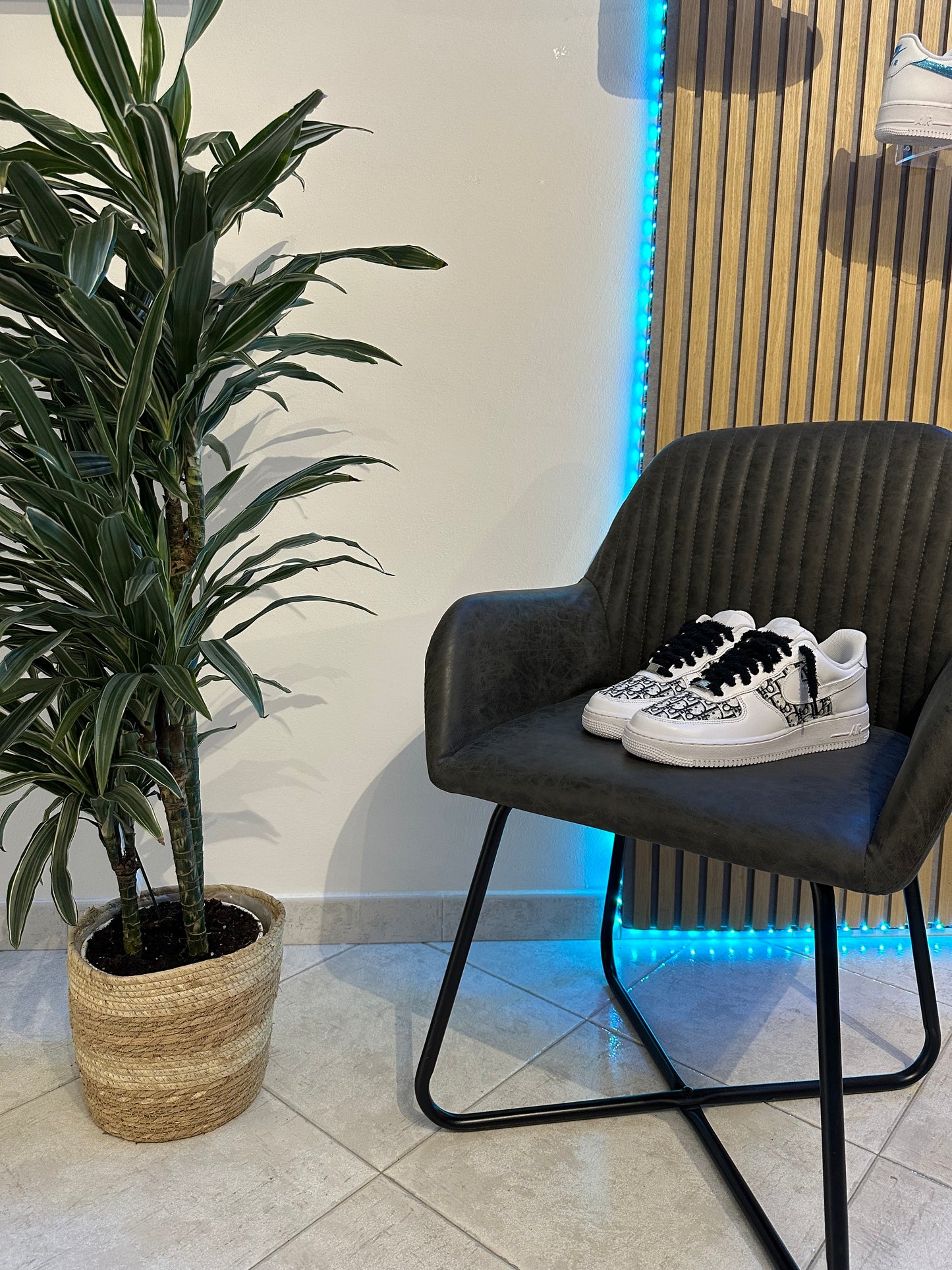 AIR FORCE CUSTOM pattern DIOR