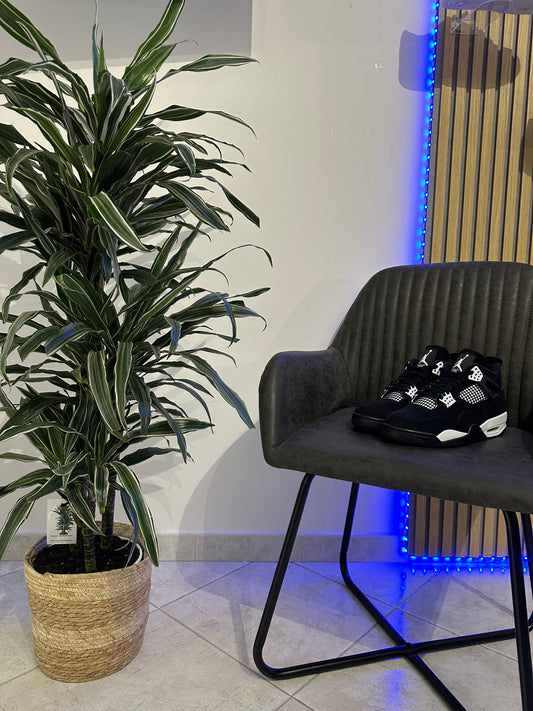 JORDAN 4 WHITE THUNDER