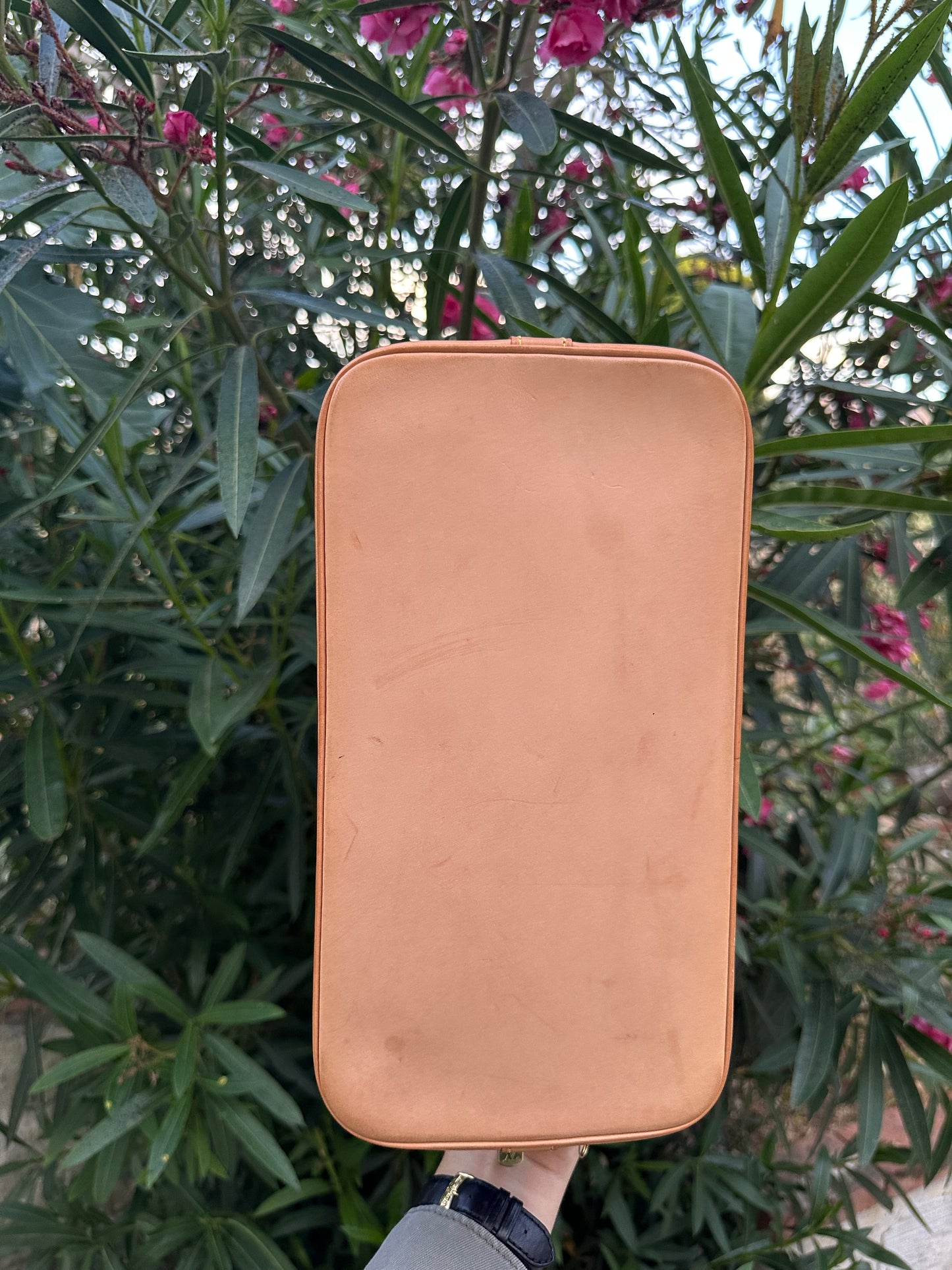 Louis Vuitton alma pm