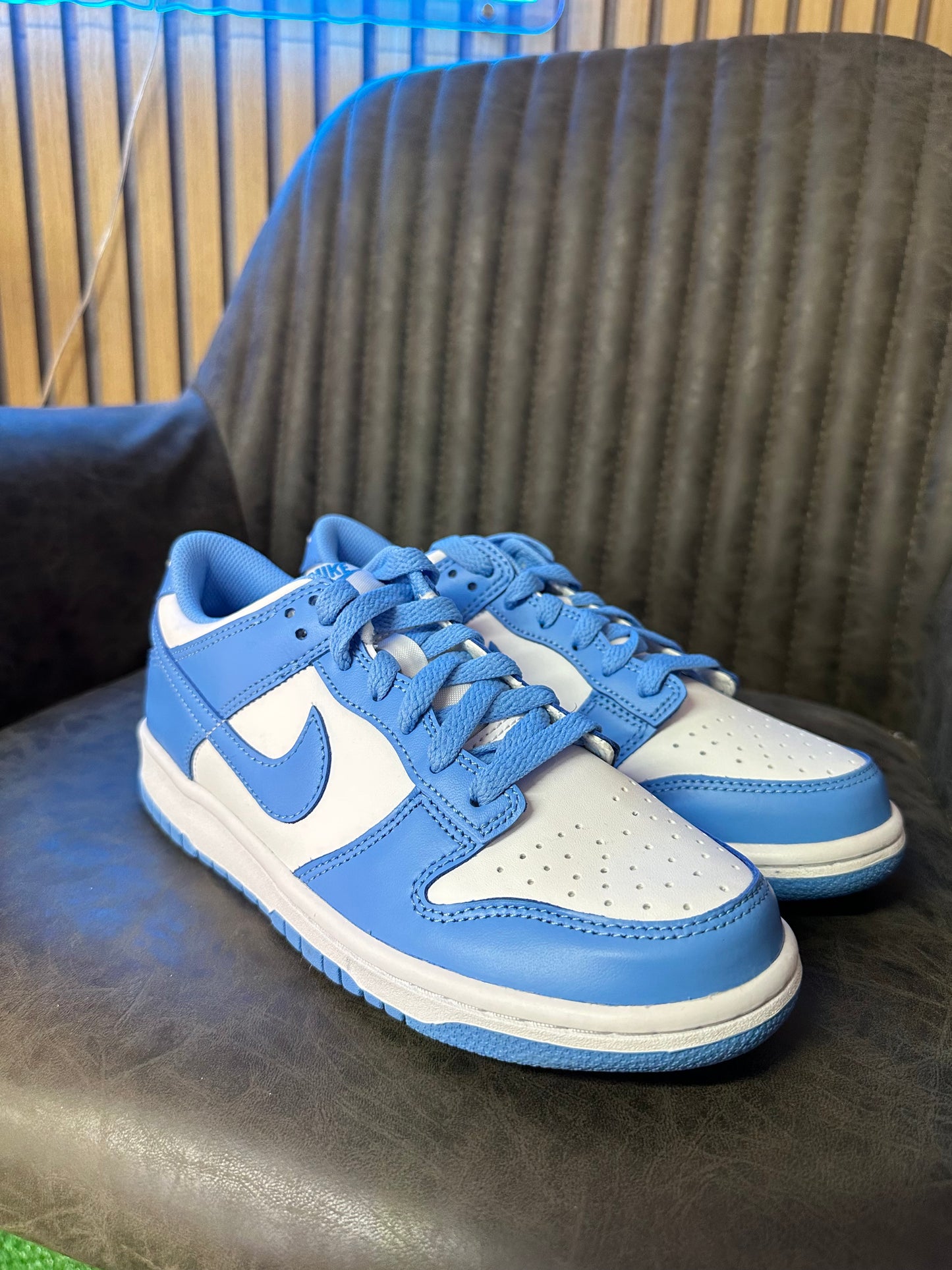 DUNK LOW UNC GS