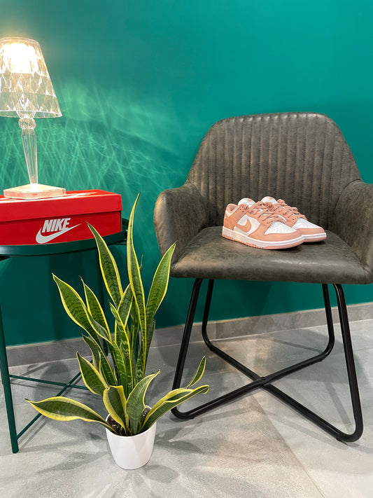 DUNK LOW ROSE WHISPER